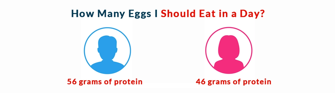 How Many Eggs I Should Eat in a Day